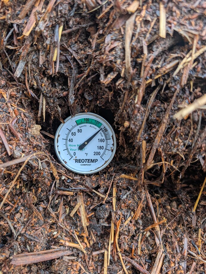 PXL_20251030_195014305