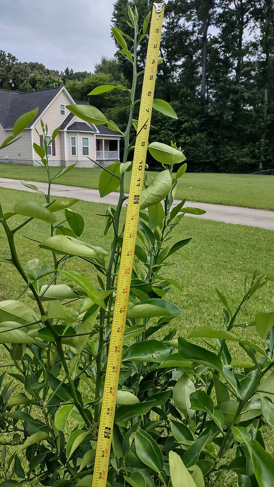 IMG_20250707_102426042_HDR