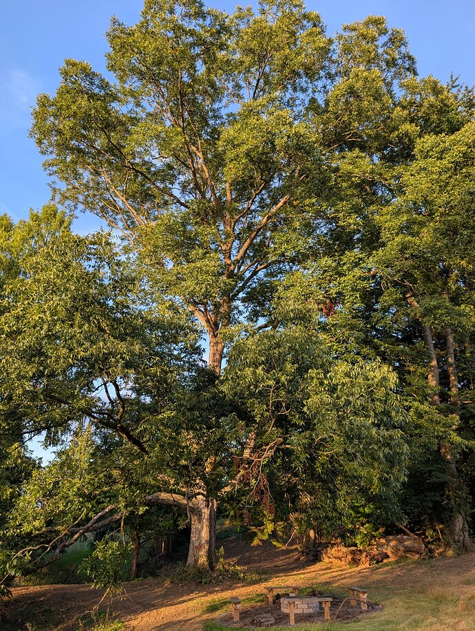 PXL_20251002_215803118