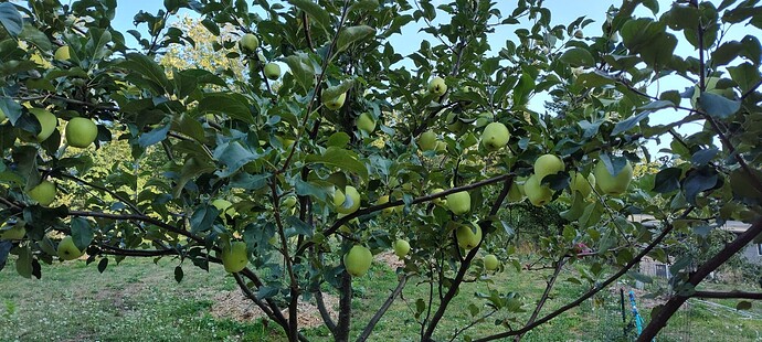 IMG_20250912_172035729_HDR