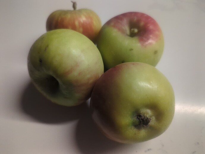 17613018105073585116819839676650