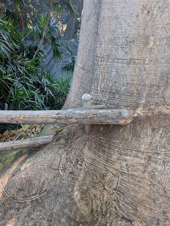 PXL_20251027_212153127