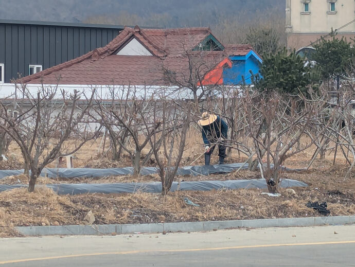 PXL_20260301_042549139