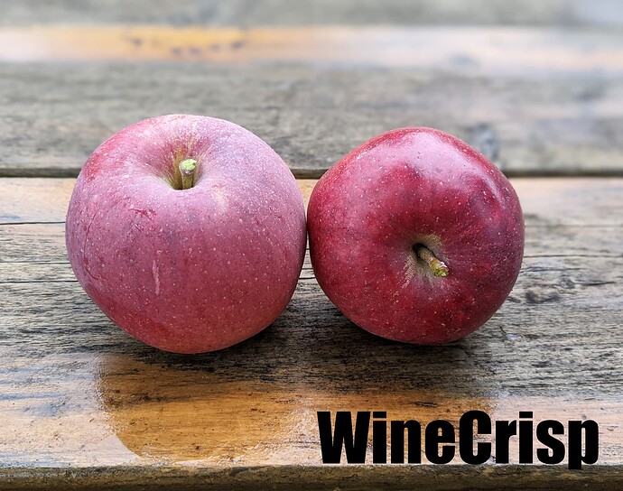 Winecrisp_2025