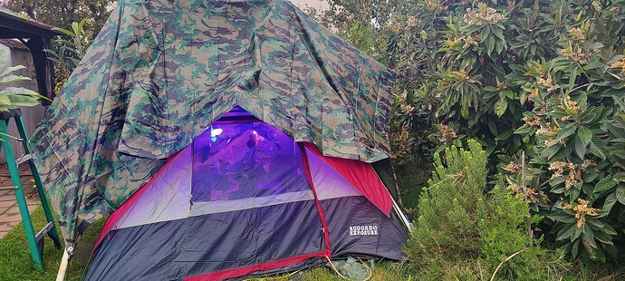 IMG_20251128_0811561