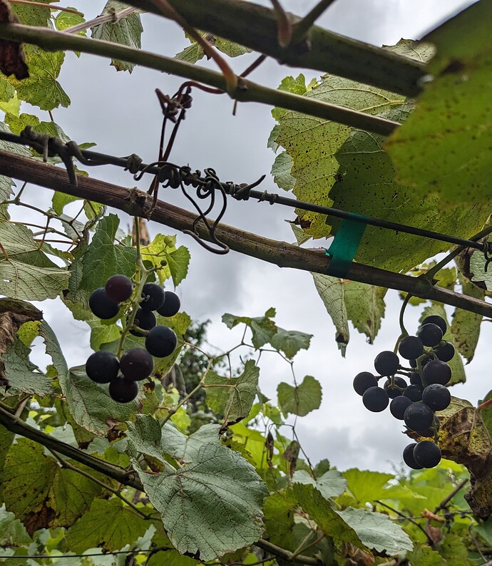 PXL_20250704_180844670~2