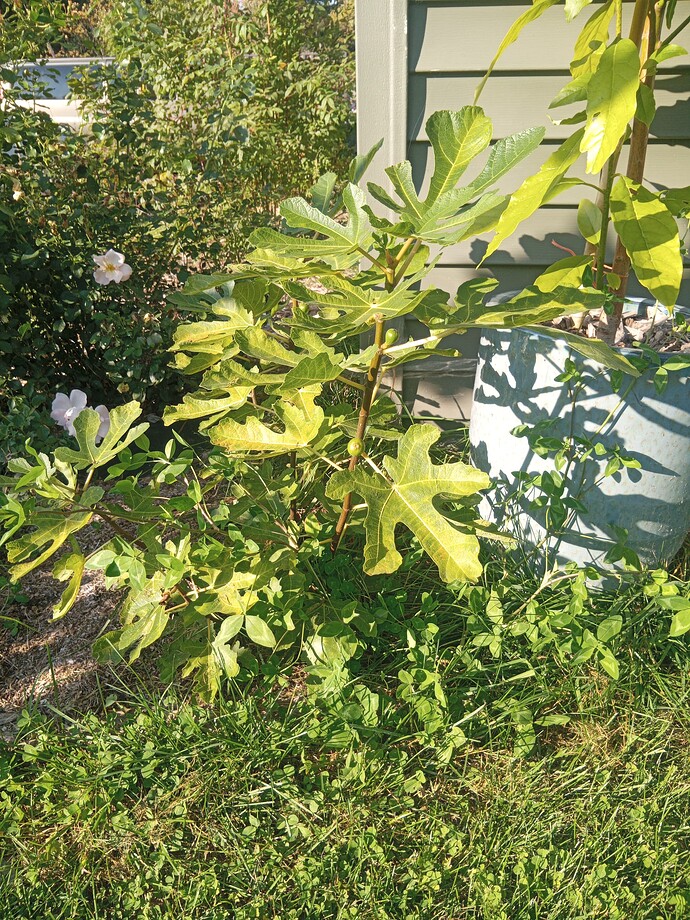 17594390118561467840669031958704