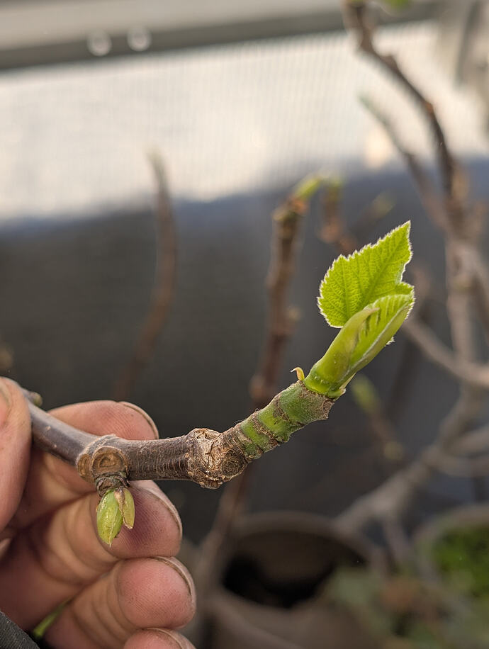 PXL_20260227_005039114