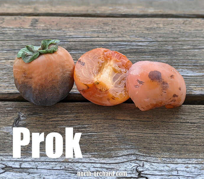 Prox_2026