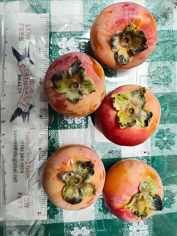 Fruits in 2025