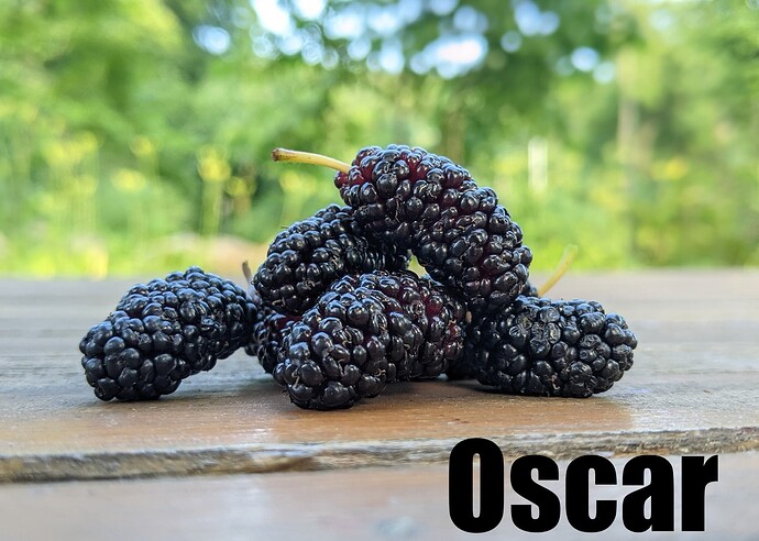Oscar_2025