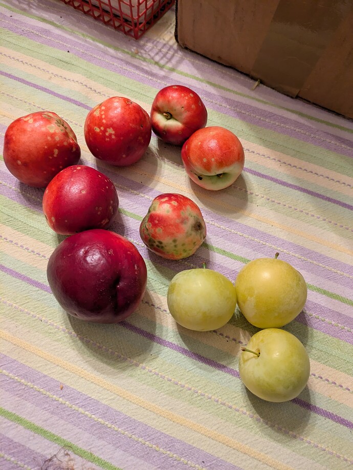 PXL_20250705_010440121