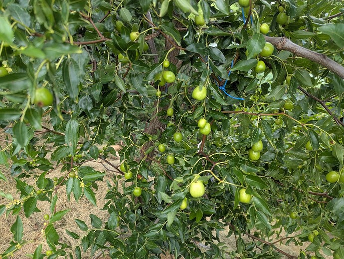 PXL_20250830_172731586