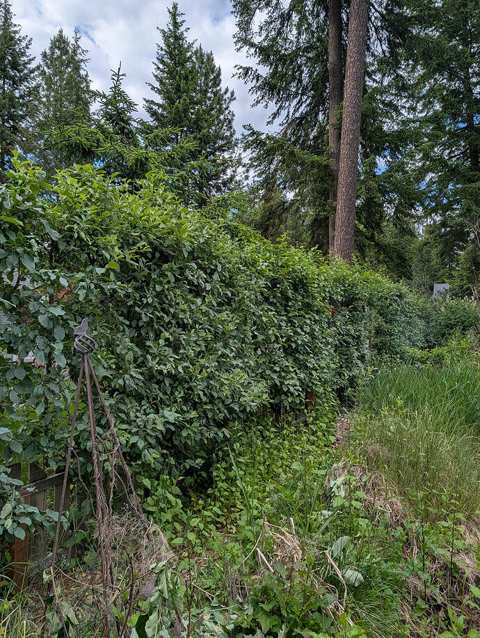 PXL_20260608_000029433