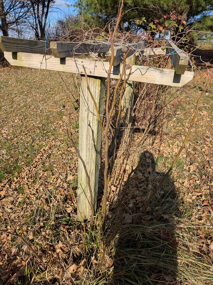 PXL_20251128_165344100