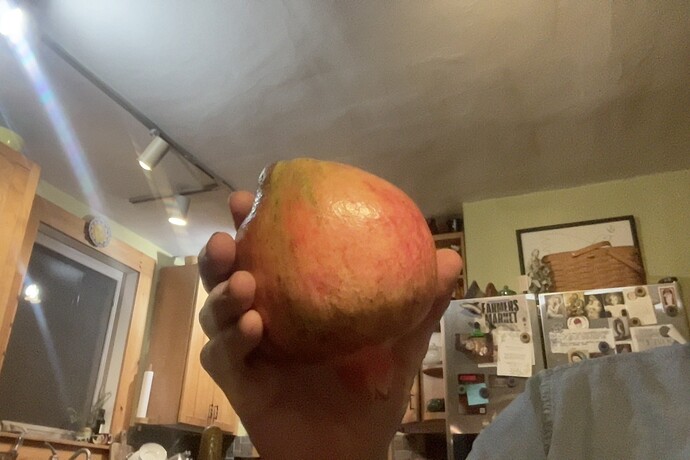 Photo on 10-9-25 at 7.38 PM