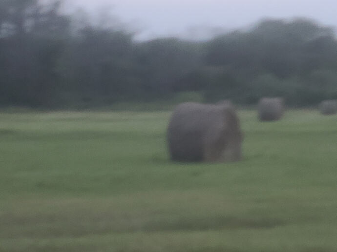 20260703_204948