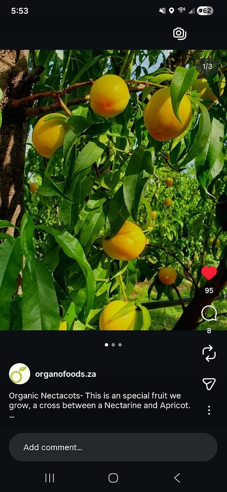 Screenshot_20251213_175351_Instagram