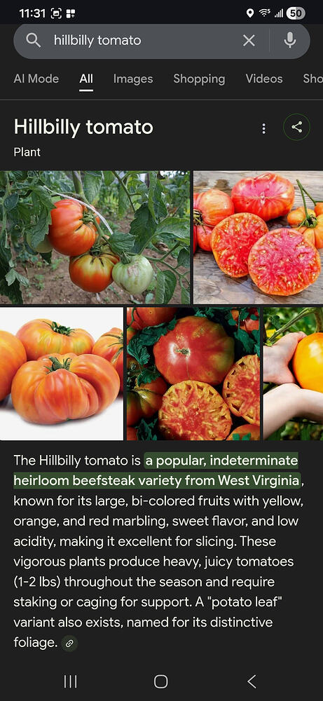 Screenshot_20260213_233115_Chrome