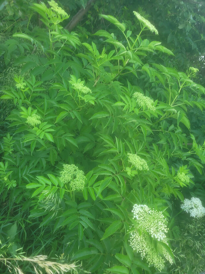 20260606_073159