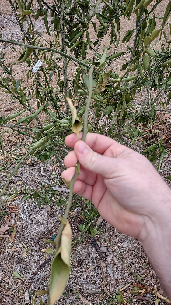 IMG_20260211_132721686_HDR