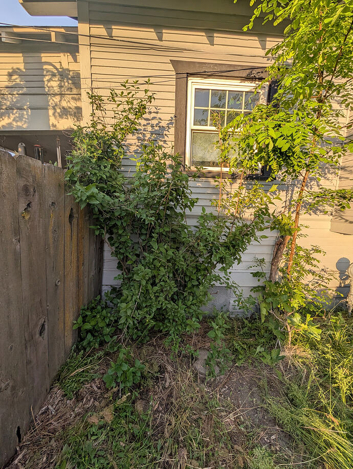 PXL_20260522_025104169