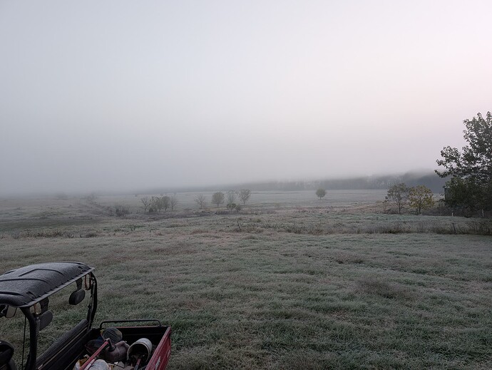 PXL_20251103_122406895