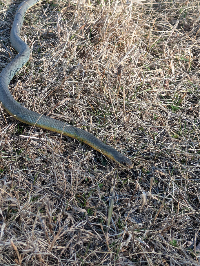 PXL_20260308_214040666