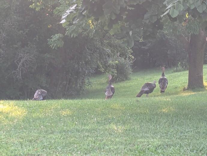 PXL_20250821_122120765