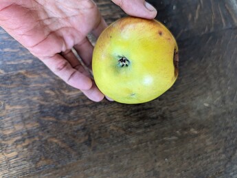 PXL_20250825_203601810