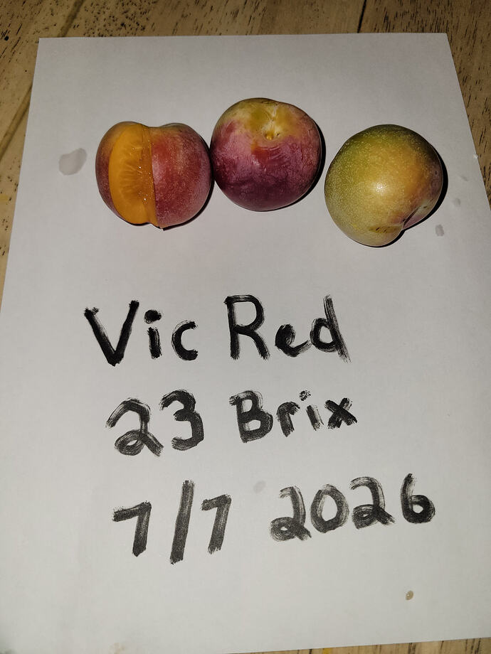 20260707_212148