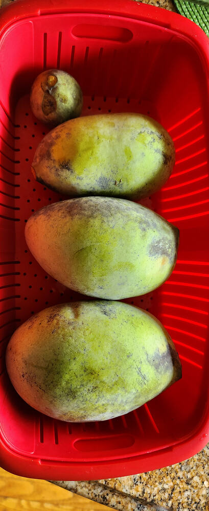 20260831_132409