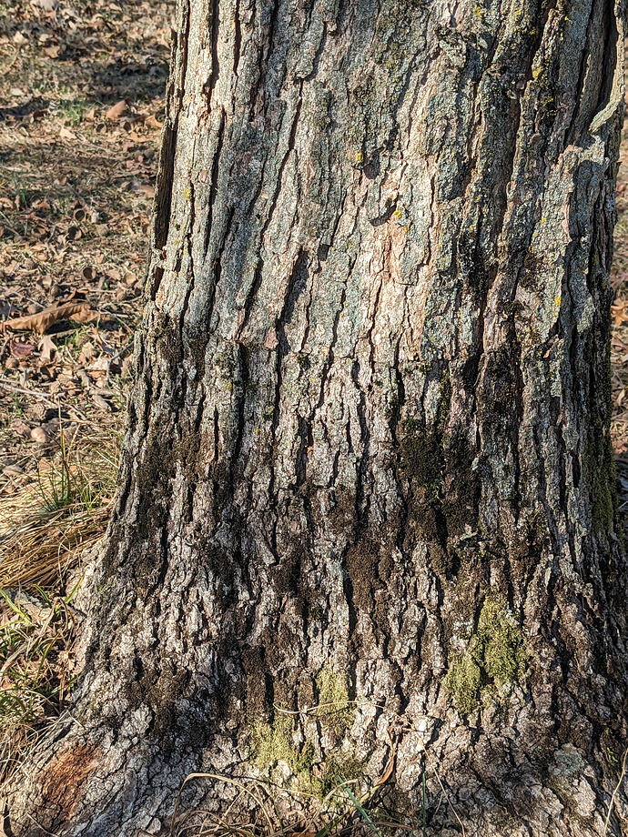 PXL_20221217_170603108