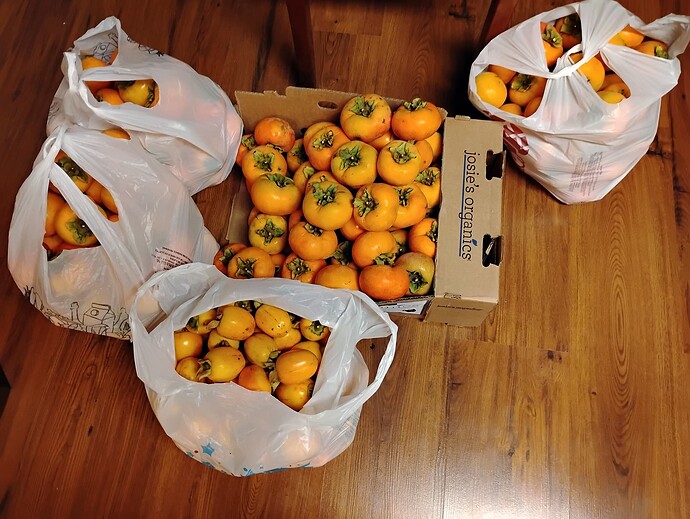 IMG_20251104_165936105