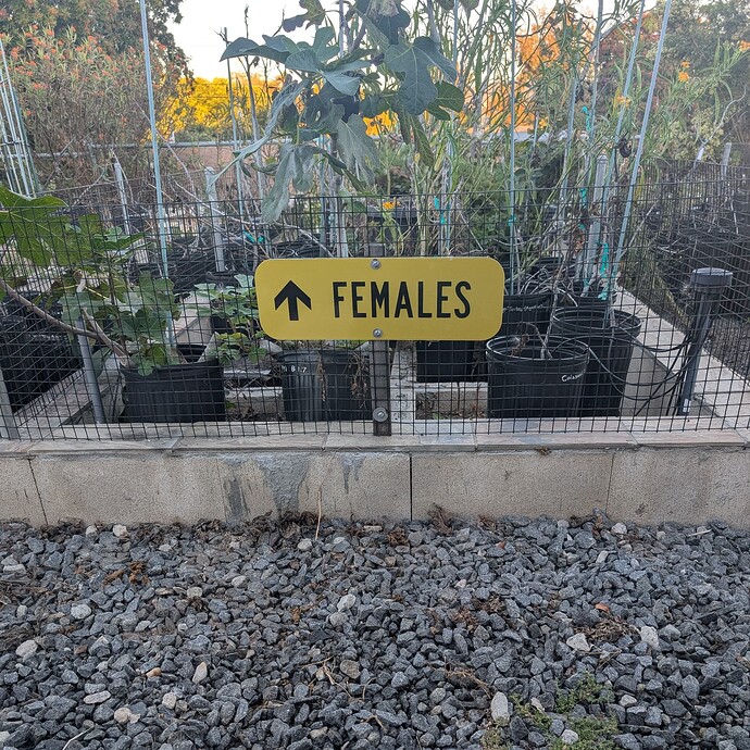 PXL_20251031_003513213