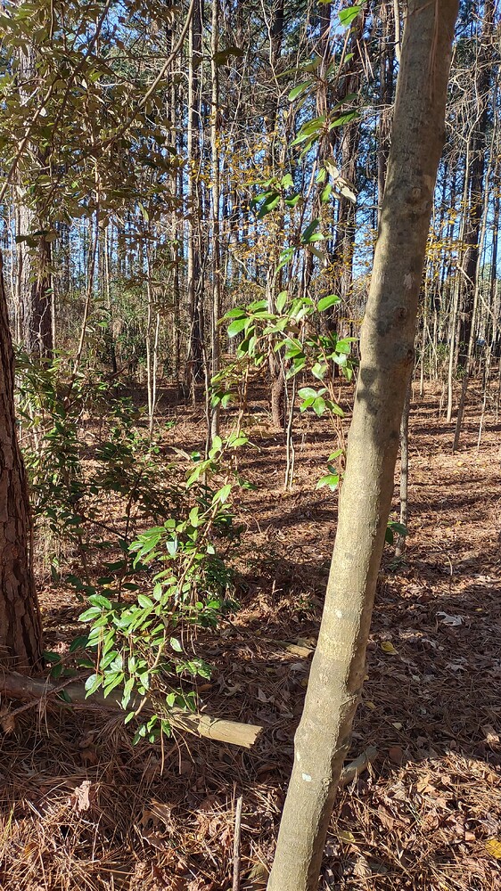 IMG_20251221_092853001_HDR