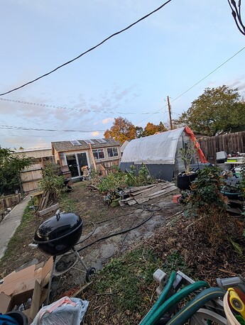 PXL_20251021_003628197