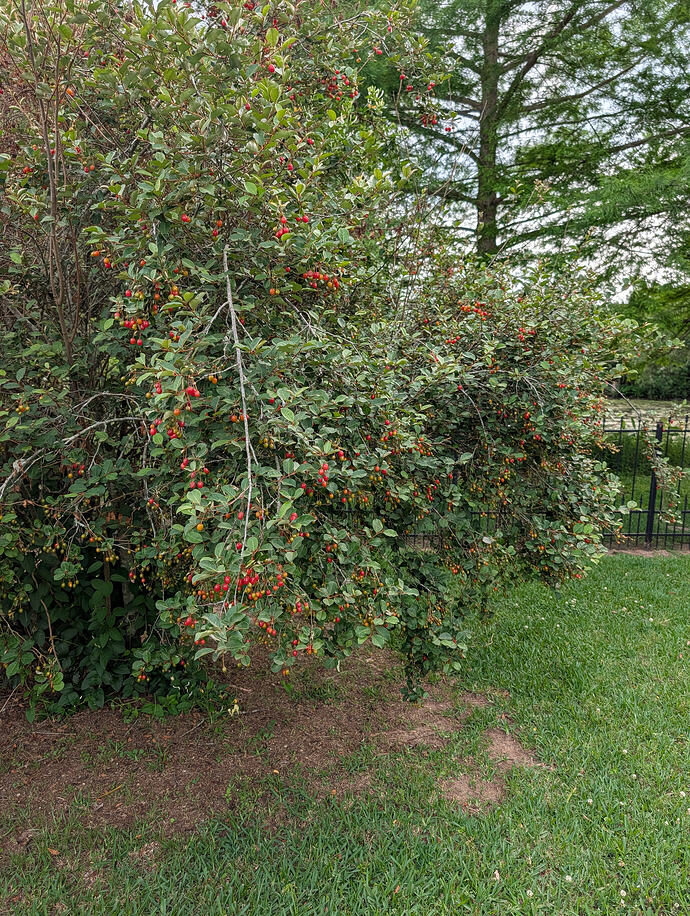 PXL_20260427_214912283