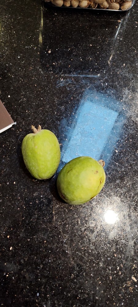 IMG_20251123_151343678_HDR1