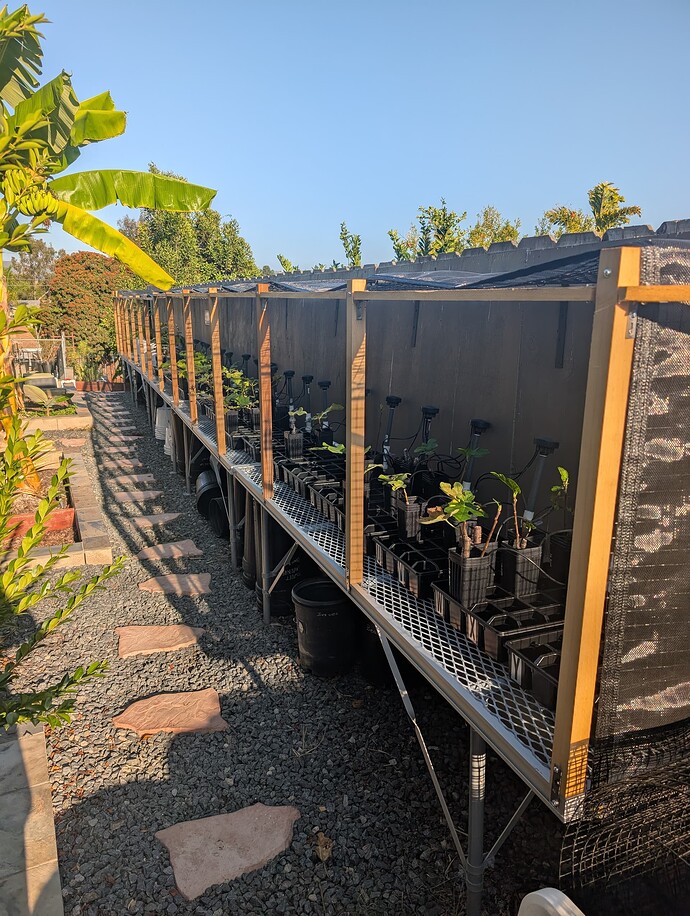 PXL_20250930_235317172