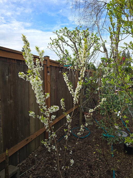 Candy Heart (relocated here in 2024)