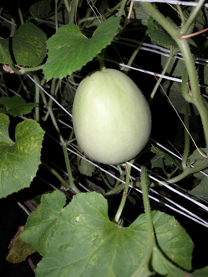 PXL_20260716_015940195
