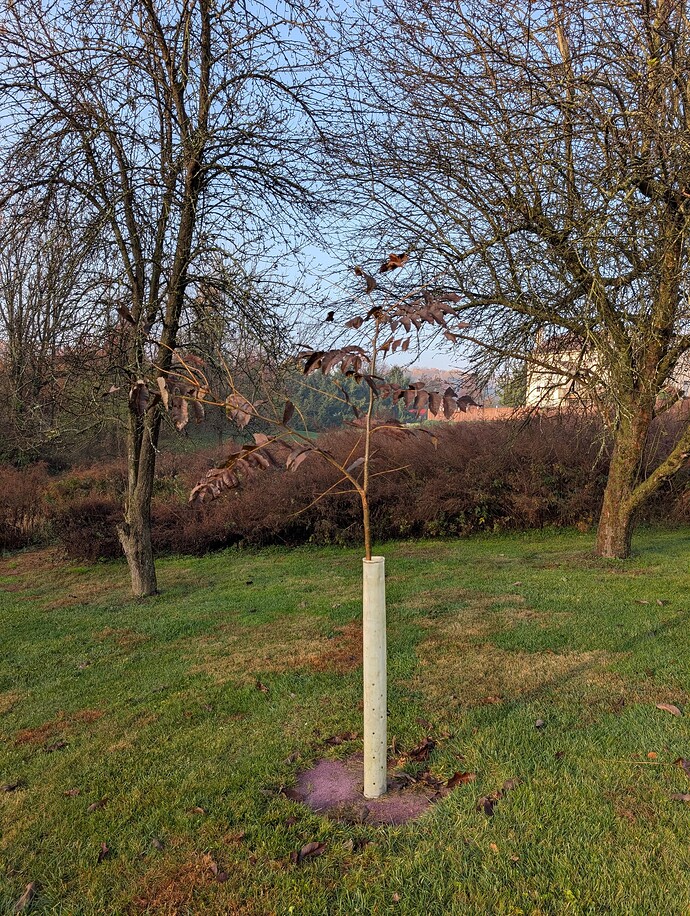 PXL_20251108_130916588