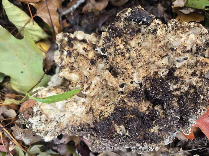 573064481_10234473456152593_8121488513078675037_n