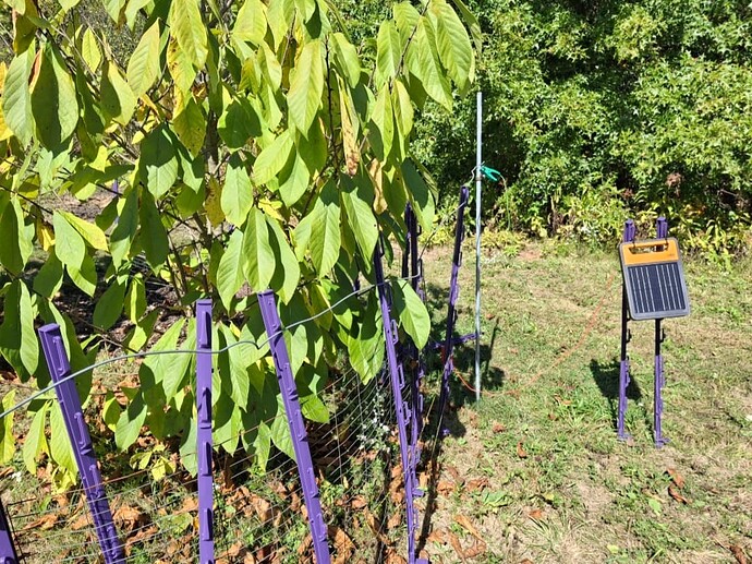 Screenshot_20251015_195709_Gallery