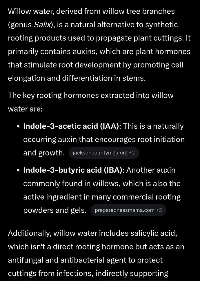 Screenshot_20260218_124943_X