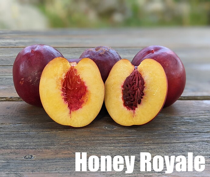 Honey Royale_2025