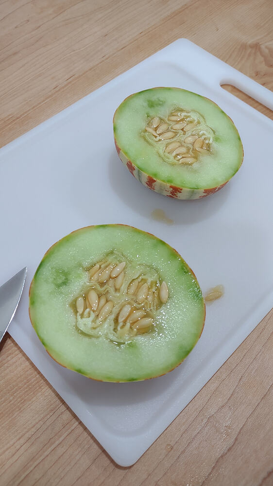 IMG_20250713_122055477