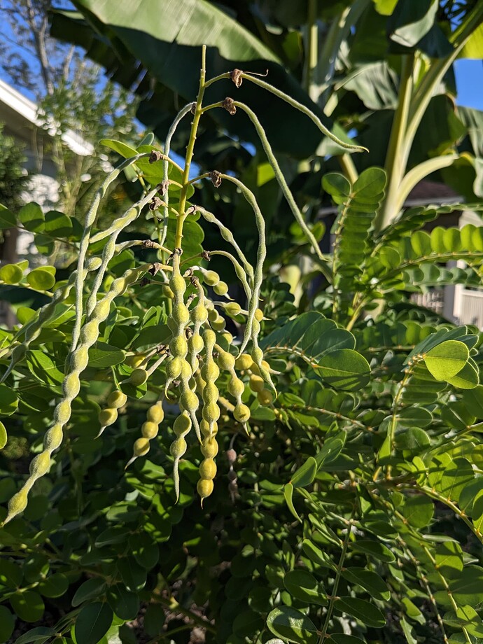 PXL_20251101_163532184