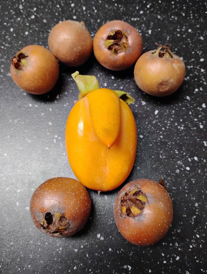 IMG_20251104_170019683